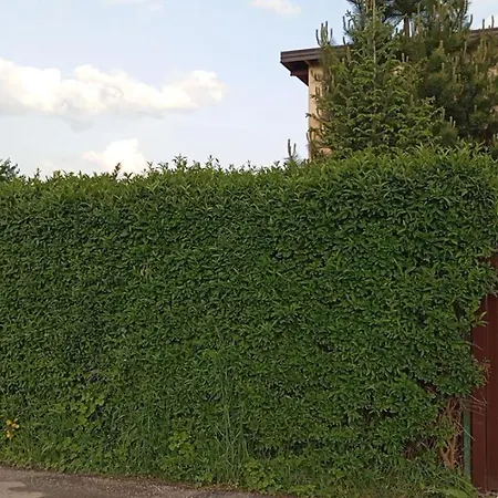 Villa Nea Ilidza
